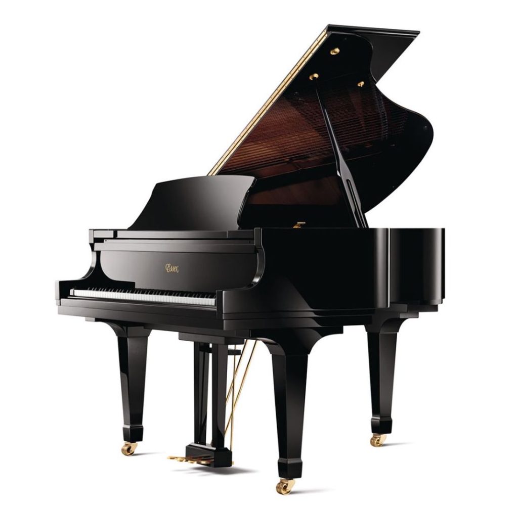 Essex Grand EGP 155 Black fma r1