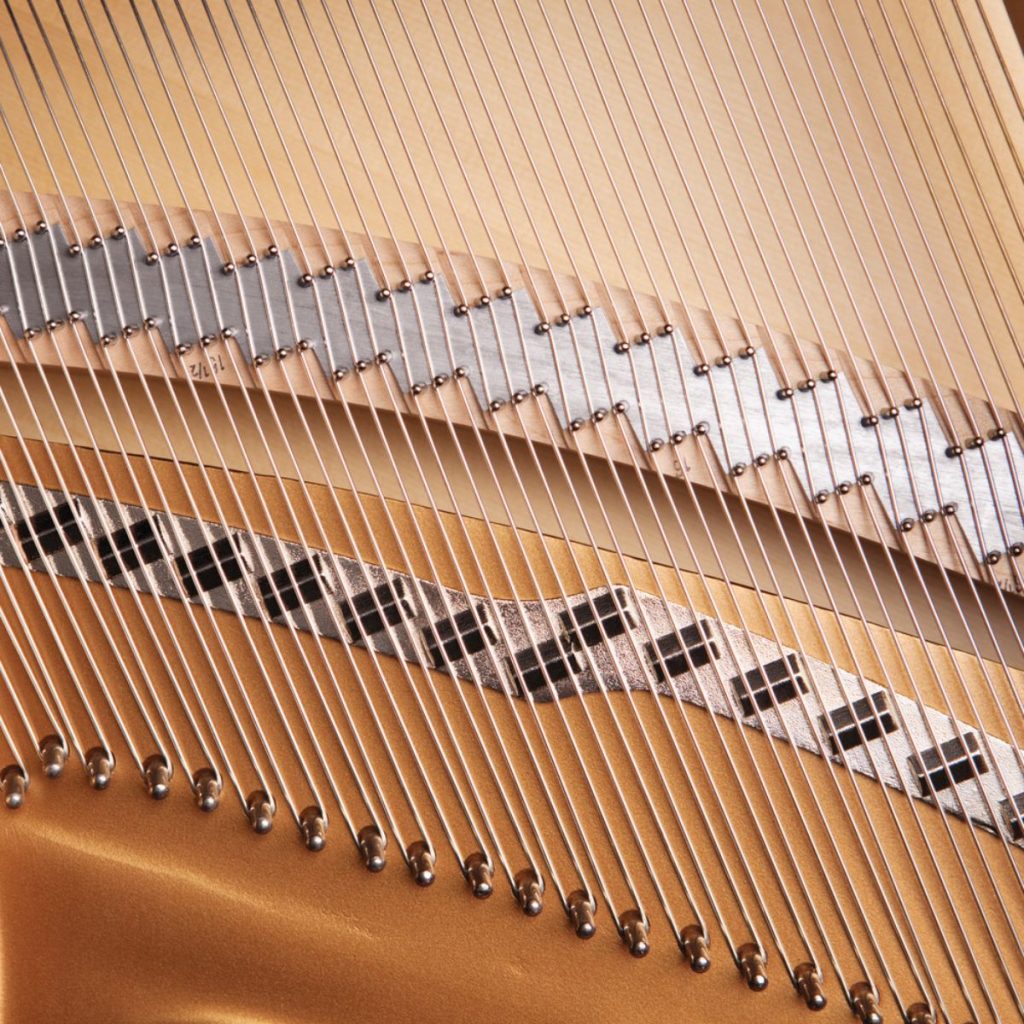 Essex Soundboard 173C Closeup square