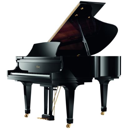 EGP 173C black square