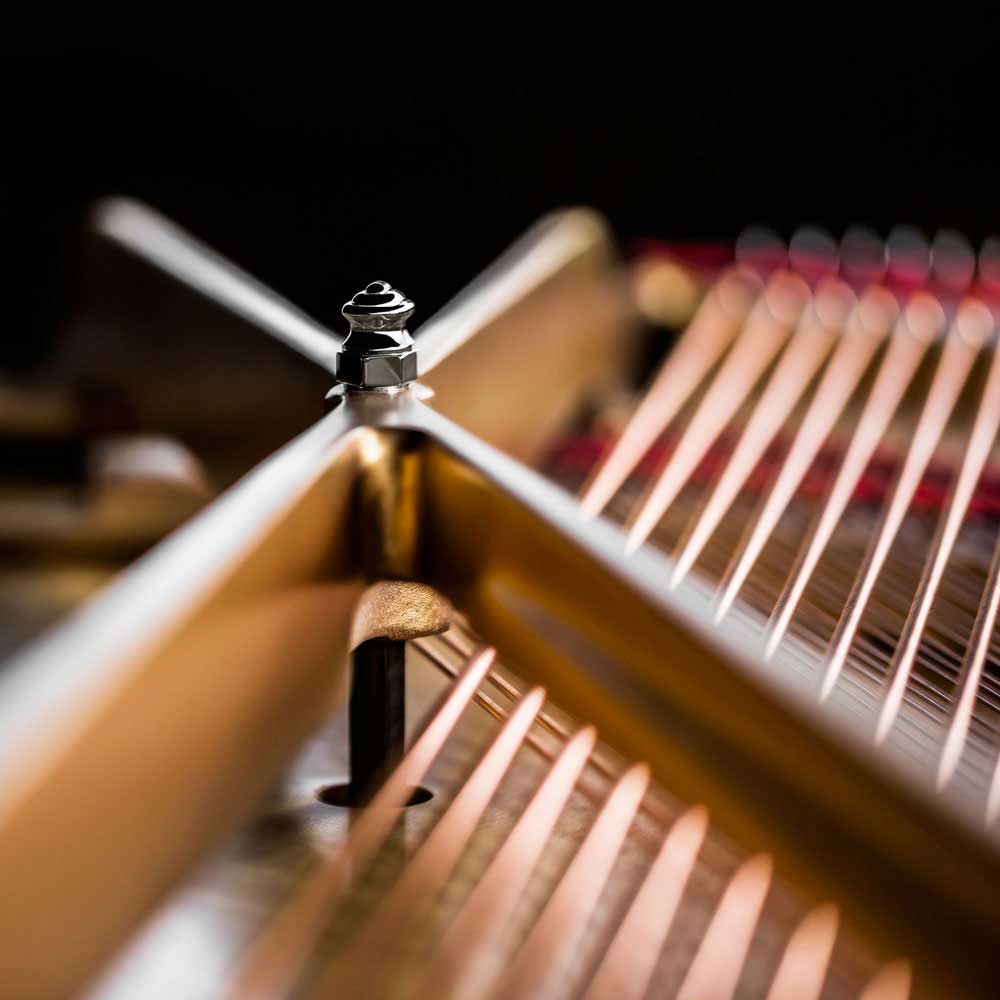 PB STEINWAY SON 030215 18 015 square